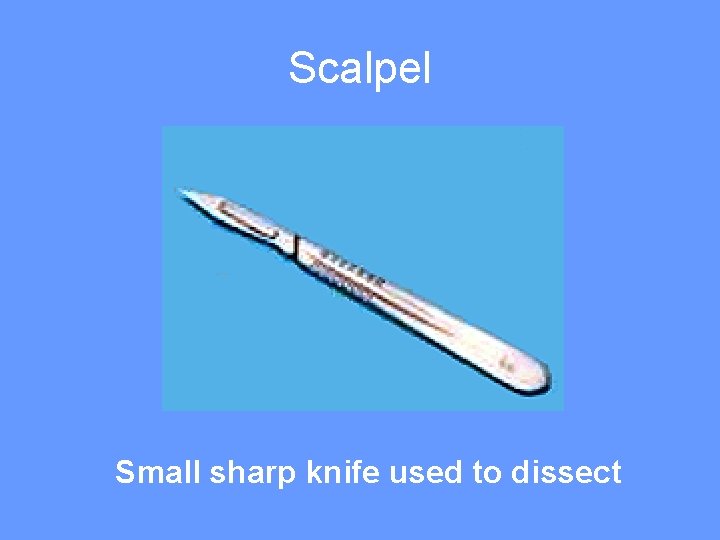 Scalpel Small sharp knife used to dissect 
