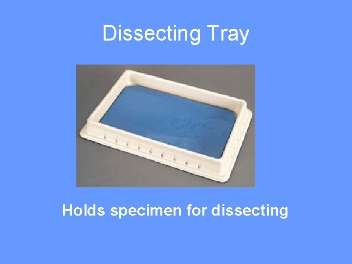 Dissecting Tray Holds specimen for dissecting 