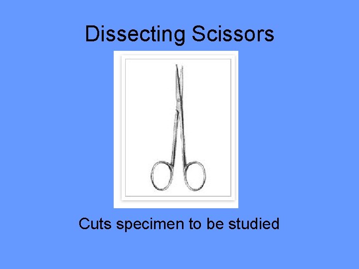 Dissecting Scissors Cuts specimen to be studied 