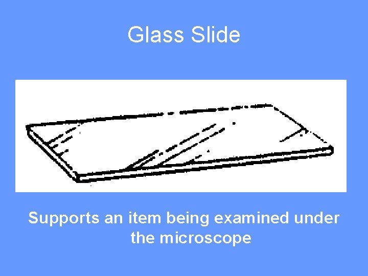 Glass Slide Supports an item being examined under the microscope 