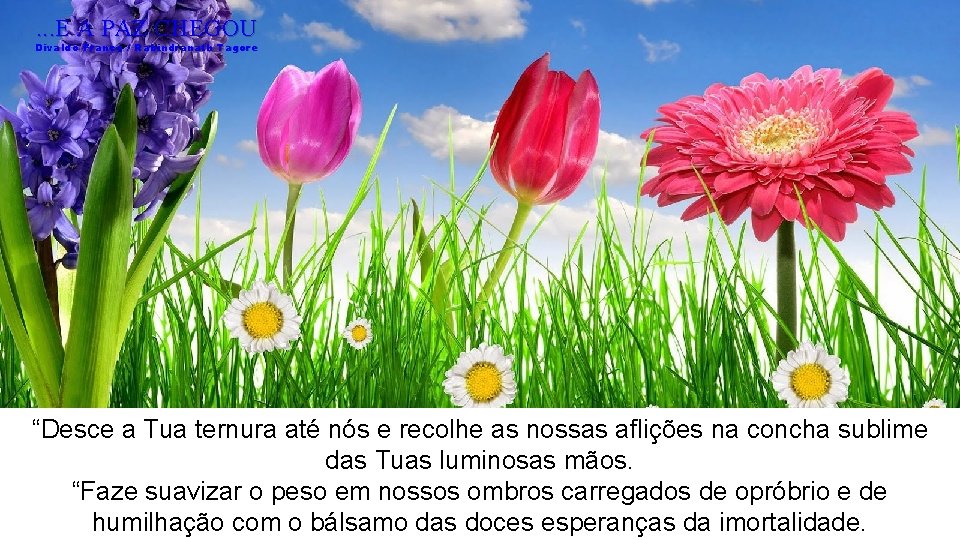 . . . E A PAZ CHEGOU Divaldo Franco / Rabindranath Tagore “Desce a