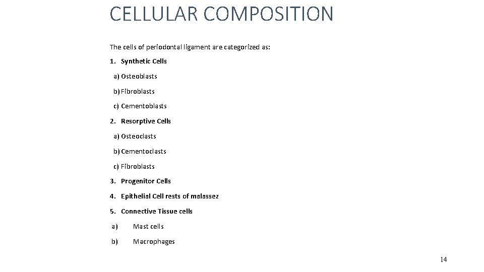 CELLULAR COMPOSITION The cells of periodontal ligament are categorized as: 1. Synthetic Cells a)