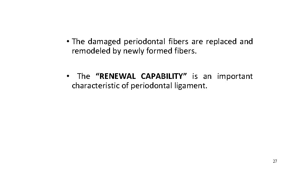  • The damaged periodontal fibers are replaced and remodeled by newly formed fibers.
