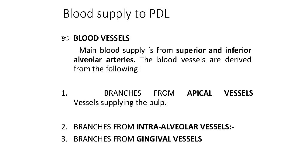 Blood supply to PDL BLOOD VESSELS Main blood supply is from superior and inferior