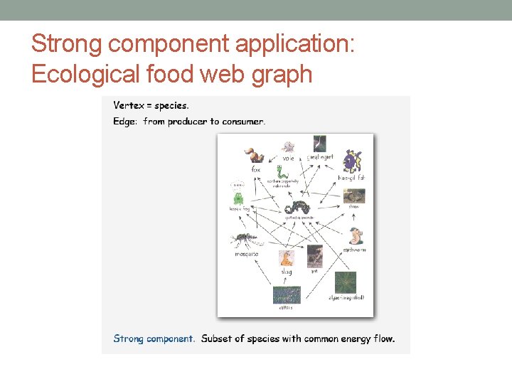 Strong component application: Ecological food web graph 