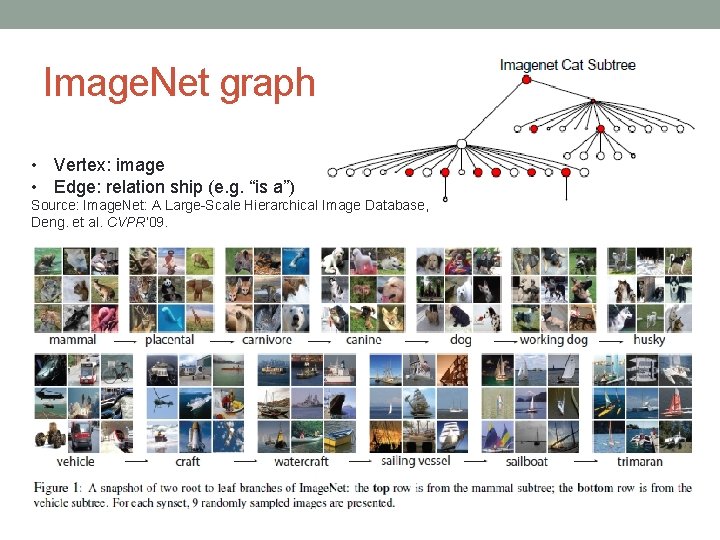 Image. Net graph • Vertex: image • Edge: relation ship (e. g. “is a”)