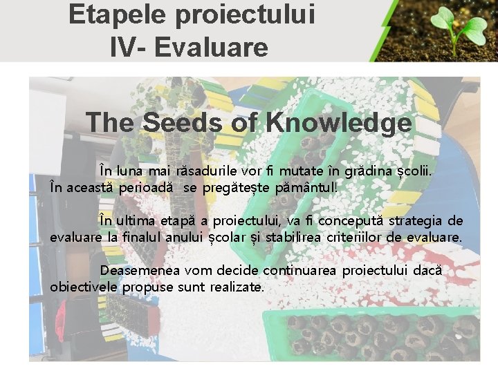 Etapele proiectului IV- Evaluare The Seeds of Knowledge În luna mai răsadurile vor fi