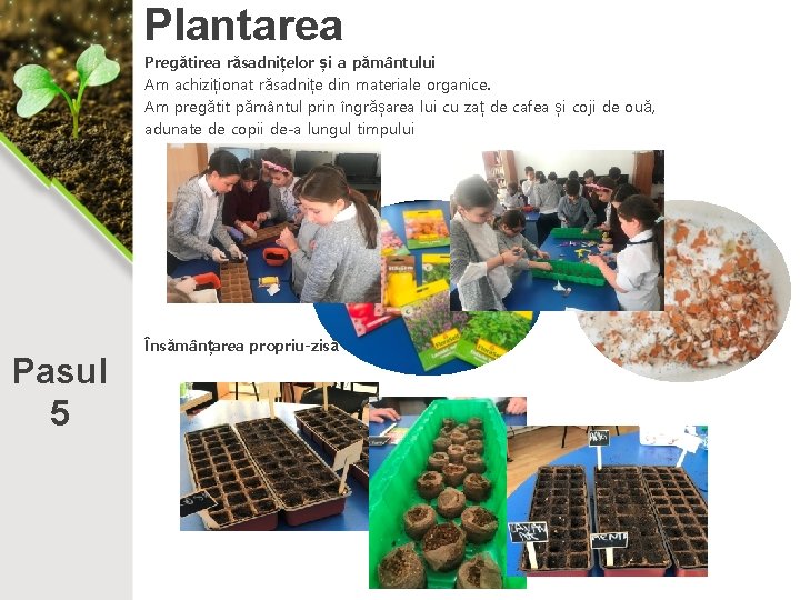 Plantarea Pregătirea răsadnițelor și a pământului Am achiziționat răsadnițe din materiale organice. Am pregătit