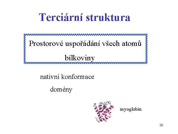 Terciární struktura Prostorové uspořádání všech atomů bílkoviny nativní konformace domény myoglobin 36 