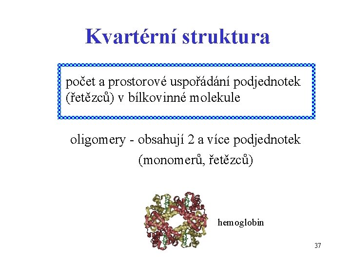 Kvartérní struktura počet a prostorové uspořádání podjednotek (řetězců) v bílkovinné molekule oligomery - obsahují