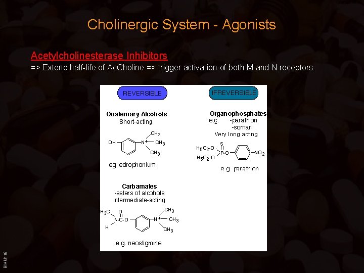 Cholinergic System - Agonists Acetylcholinesterase Inhibitors BIMM 118 => Extend half-life of Ac. Choline