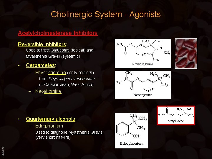 Cholinergic System - Agonists Acetylcholinesterase Inhibitors Reversible Inhibitors: Used to treat Glaucoma (topical) and
