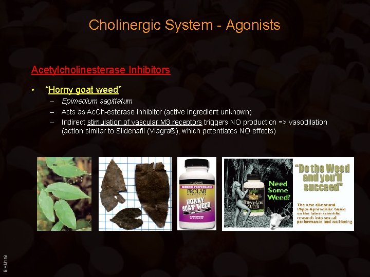 Cholinergic System - Agonists Acetylcholinesterase Inhibitors • “Horny goat weed” BIMM 118 – Epimedium