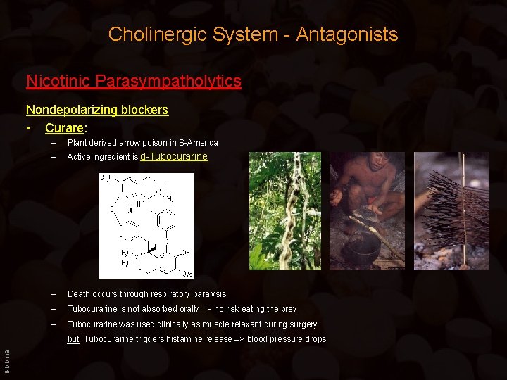 Cholinergic System - Antagonists Nicotinic Parasympatholytics Nondepolarizing blockers • Curare: – Plant derived arrow