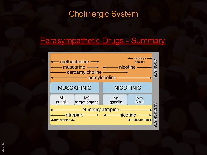 Cholinergic System BIMM 118 Parasympathetic Drugs - Summary 