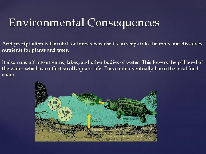 Environmental Consequences Acid precipitation is harmful forests because it can seeps into the roots