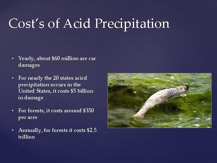 Cost’s of Acid Precipitation • Yearly, about $60 million are car damages • For