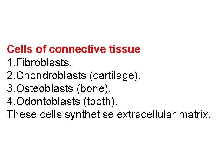 Cells of connective tissue 1. Fibroblasts. 2. Chondroblasts (cartilage). 3. Osteoblasts (bone). 4. Odontoblasts