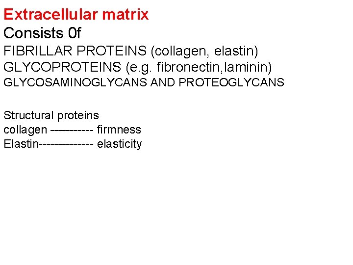 Extracellular matrix Consists 0 f FIBRILLAR PROTEINS (collagen, elastin) GLYCOPROTEINS (e. g. fibronectin, laminin)