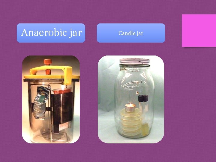 Anaerobic jar Candle jar 