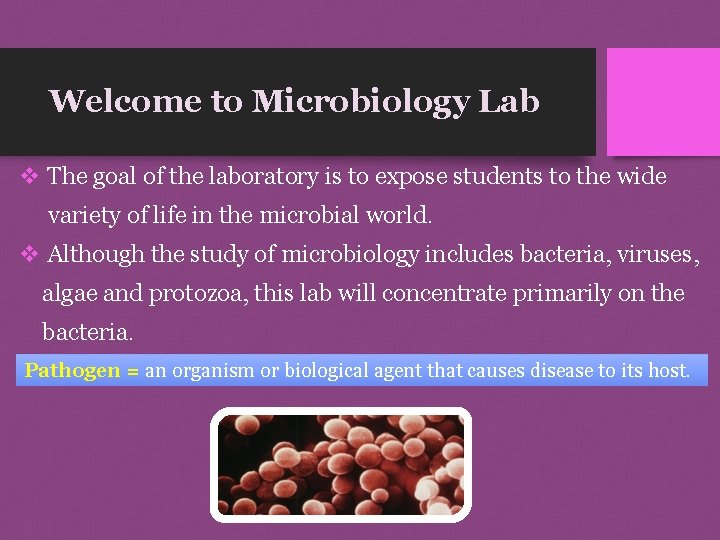 Welcome to Microbiology Lab v The goal of the laboratory is to expose students