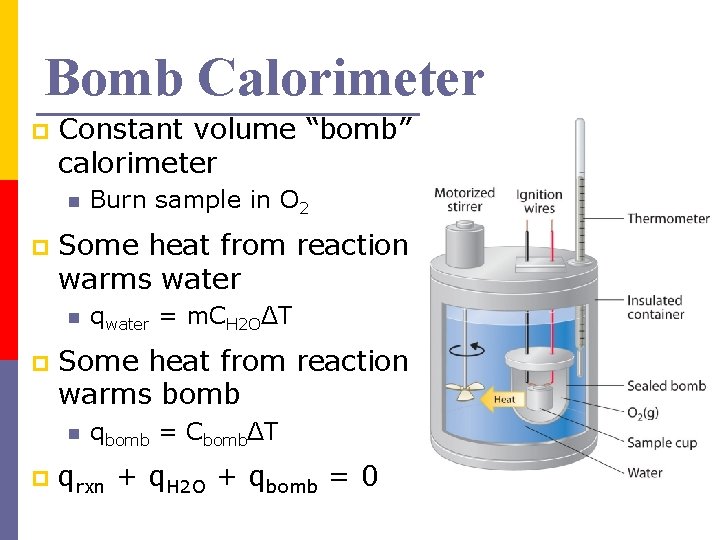 Bomb Calorimeter p Constant volume “bomb” calorimeter n p Some heat from reaction warms