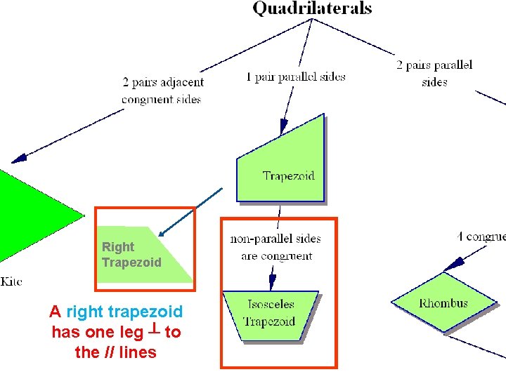 Right Trapezoid A right trapezoid has one leg ┴ to the // lines 