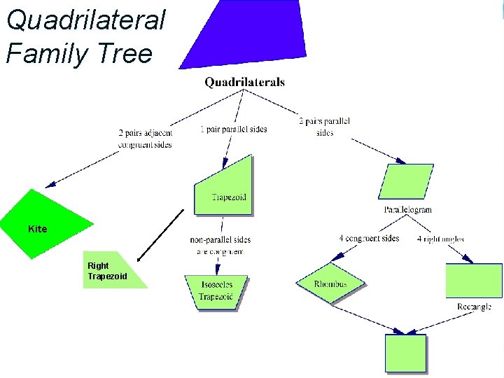 Quadrilateral Family Tree Kite Right Trapezoid 