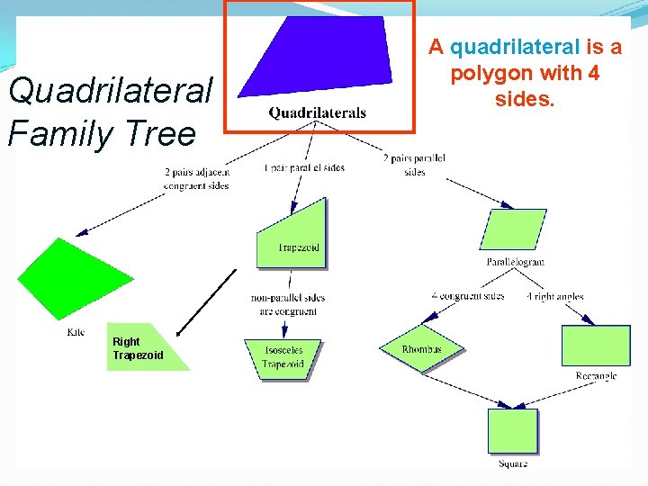 Quadrilateral Family Tree Right Trapezoid A quadrilateral is a polygon with 4 sides. 
