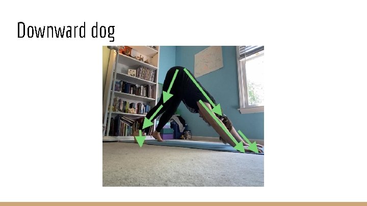 Downward dog 