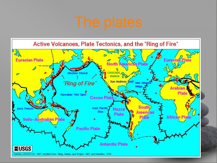 The plates your name 