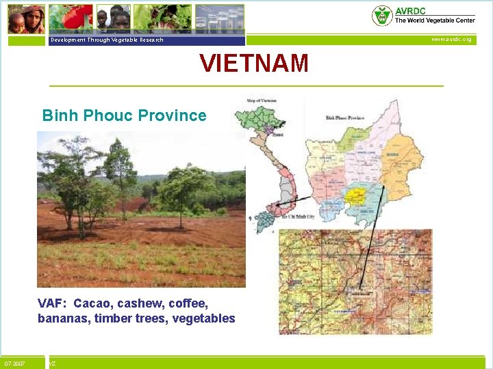 vegetables + development Development Through Vegetable Research www. avrdc. org VIETNAM Binh Phouc Province