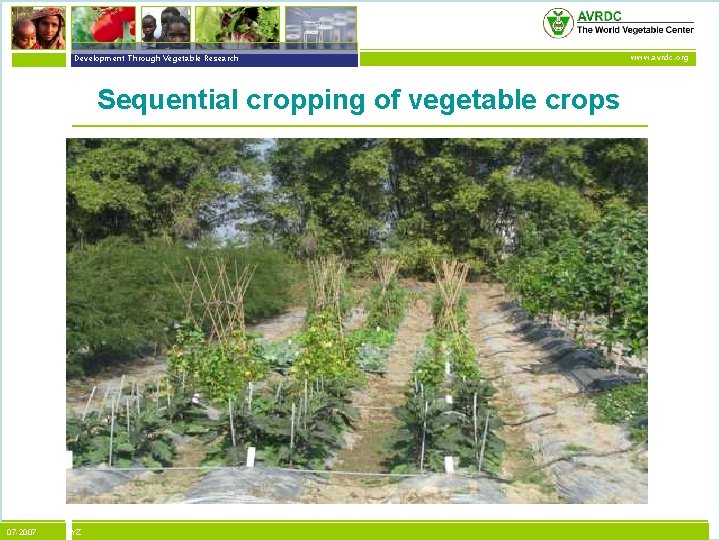 vegetables + development Development Through Vegetable Research Sequential cropping of vegetable crops 07 -2007