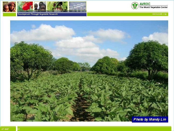 vegetables + development Development Through Vegetable Research www. avrdc. org Photo by Mandy Lin