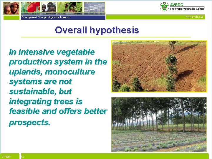 vegetables + development Development Through Vegetable Research Overall hypothesis In intensive vegetable production system