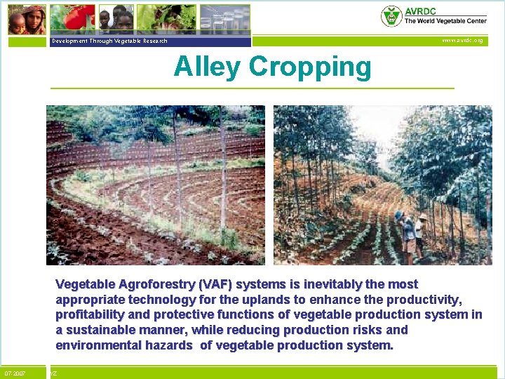 vegetables + development Development Through Vegetable Research www. avrdc. org Alley Cropping Vegetable Agroforestry