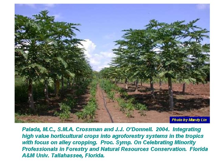 Photo by Mandy Lin Palada, M. C. , S. M. A. Crossman and J.