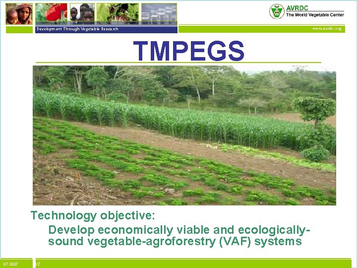 vegetables + development Development Through Vegetable Research www. avrdc. org TMPEGS Technology objective: Develop