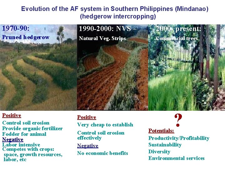 Evolution of the AF system in Southern Philippines (Mindanao) (hedgerow intercropping) 1970 -90: 1990