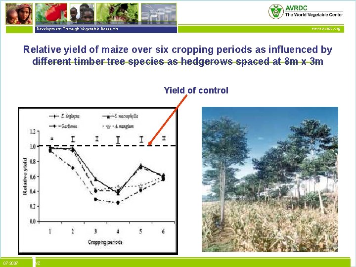 vegetables + development Development Through Vegetable Research www. avrdc. org Relative yield of maize