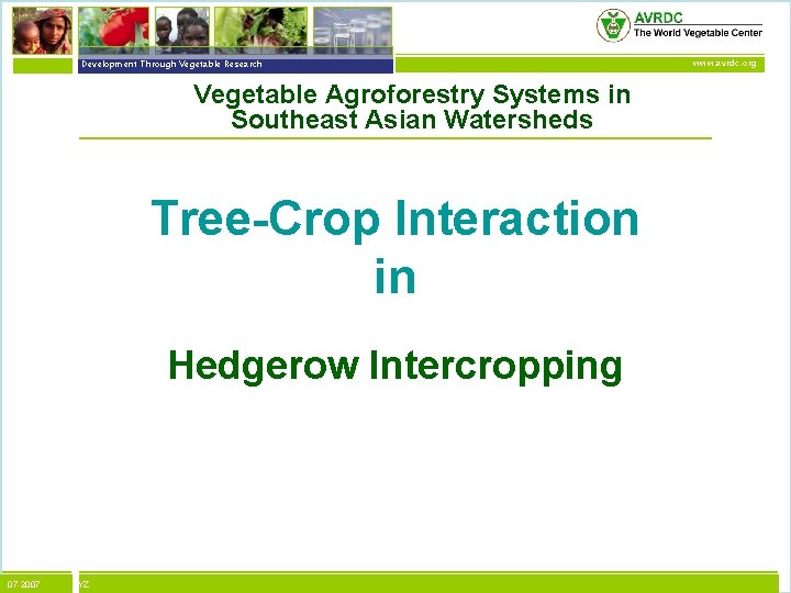vegetables + development Development Through Vegetable Research Vegetable Agroforestry Systems in Southeast Asian Watersheds