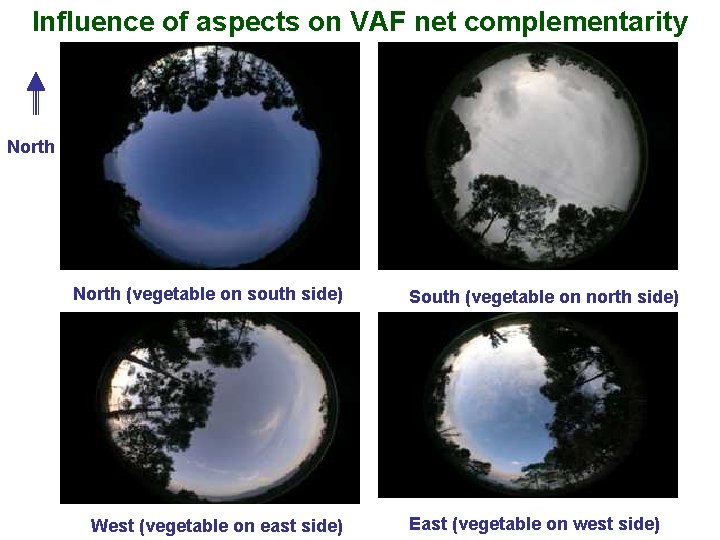 Influence of aspects on VAF net complementarity North (vegetable on south side) West (vegetable