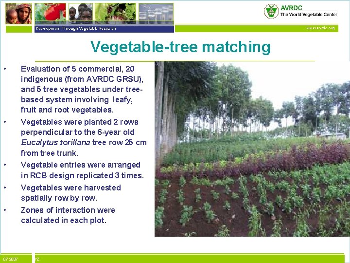 vegetables + development Development Through Vegetable Research Vegetable-tree matching • Evaluation of 5 commercial,