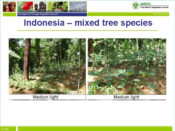 vegetables + development Development Through Vegetable Research Indonesia – mixed tree species 07 -2007