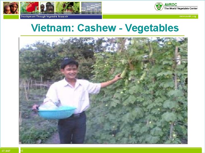 vegetables + development Development Through Vegetable Research Vietnam: Cashew - Vegetables 07 -2007 XYZ