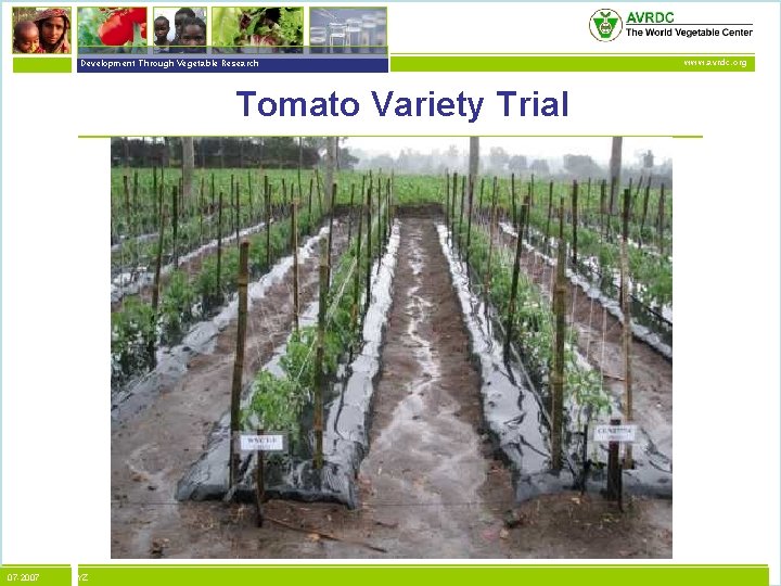 vegetables + development Development Through Vegetable Research Tomato Variety Trial 07 -2007 XYZ www.