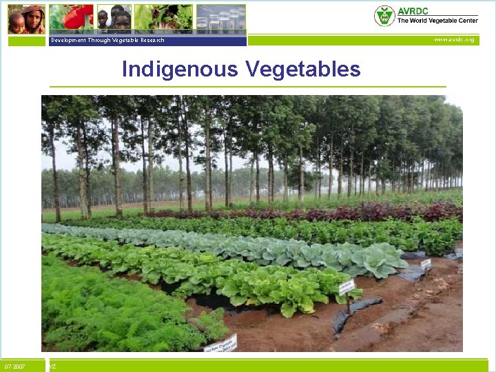 vegetables + development Development Through Vegetable Research Indigenous Vegetables 07 -2007 XYZ www. avrdc.