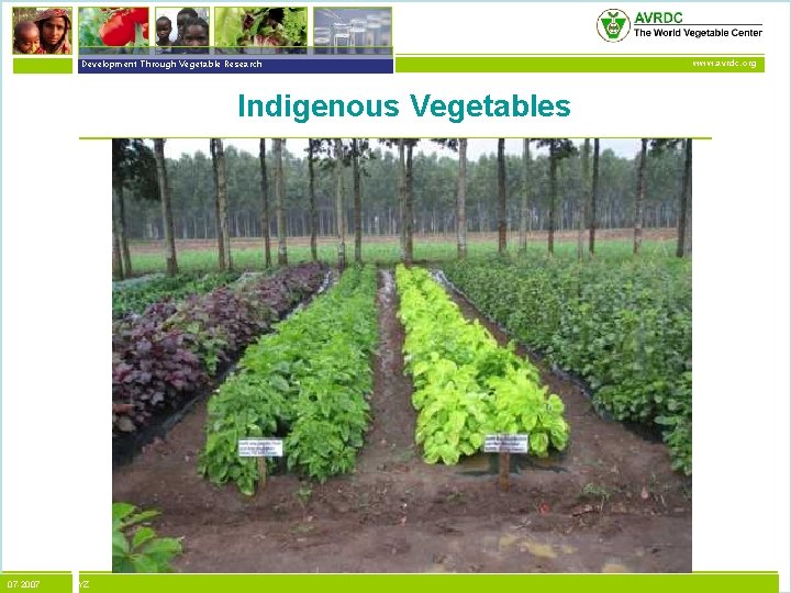 vegetables + development Development Through Vegetable Research Indigenous Vegetables 07 -2007 XYZ www. avrdc.