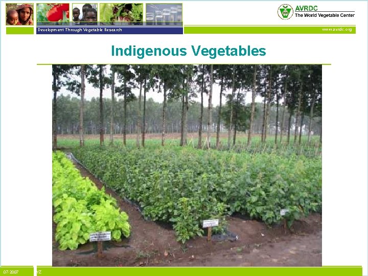 vegetables + development Development Through Vegetable Research Indigenous Vegetables 07 -2007 XYZ www. avrdc.