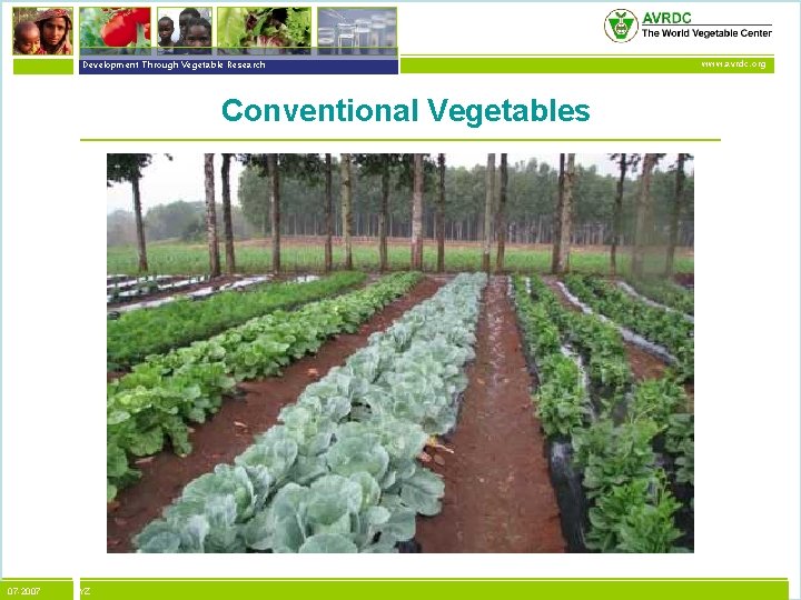vegetables + development Development Through Vegetable Research Conventional Vegetables 07 -2007 XYZ www. avrdc.